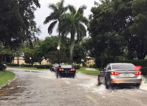 Flood Auto Insurance Protection in Florida